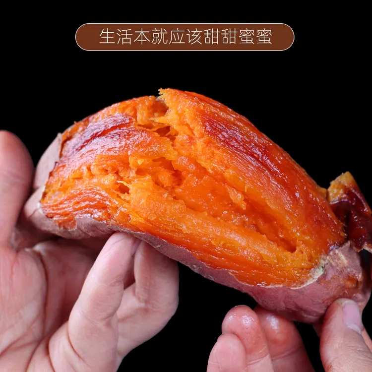 【新鲜采摘】广东湛江西瓜红蜜薯蜜薯5斤/9斤