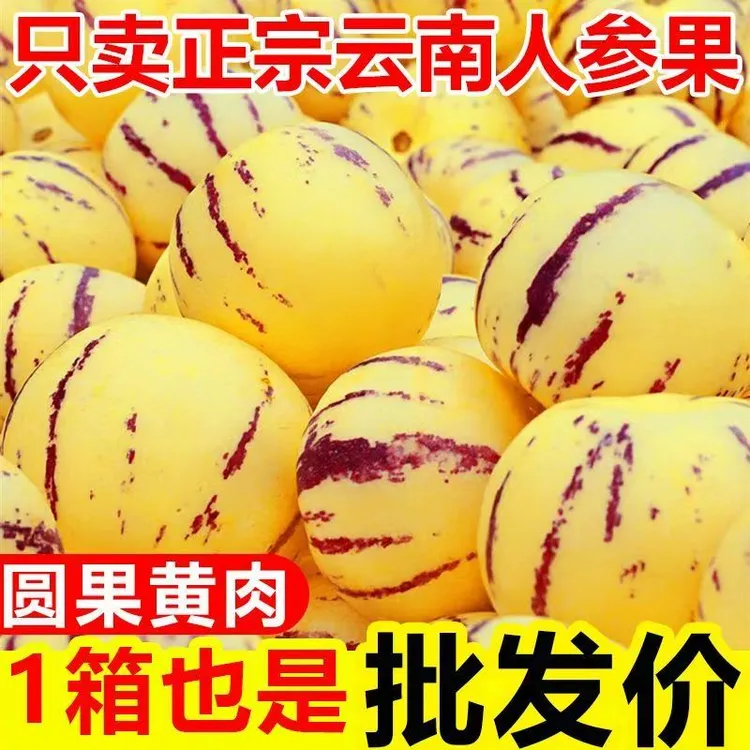 （人参果）云南石林圆果黄肉树熟人参果高山种植孕妇水果整箱包邮