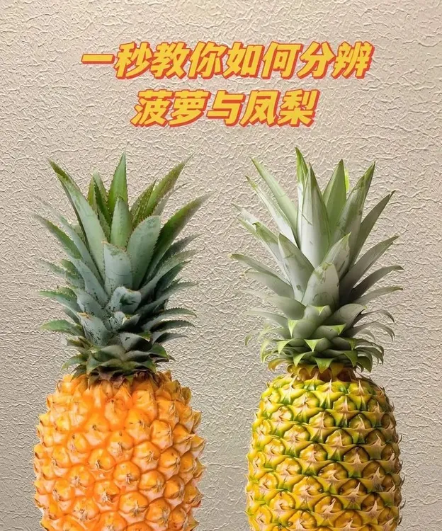 【咆家专属】海南金钻凤梨17号自然成熟3斤装新鲜应季水果风味浓郁