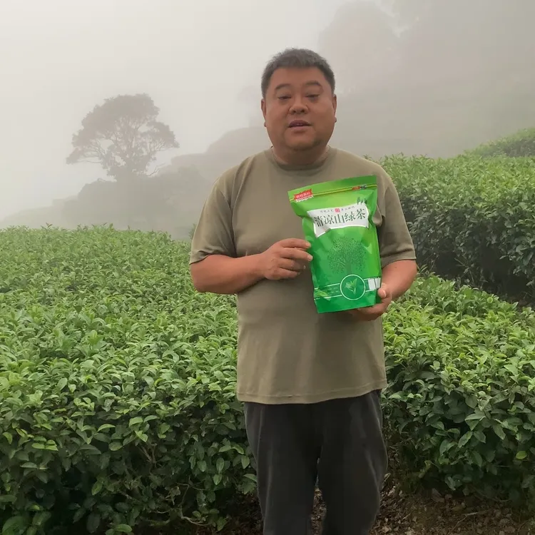 2025年清凉山秋白露新茶上市客家炒绿土特产浓香型