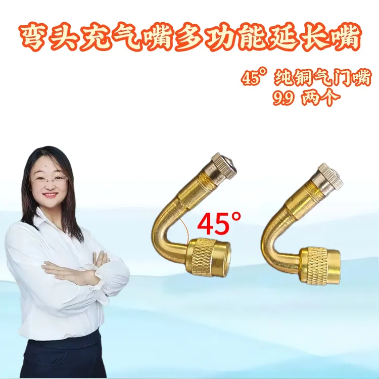 高品质纯铜国标延长气门嘴
