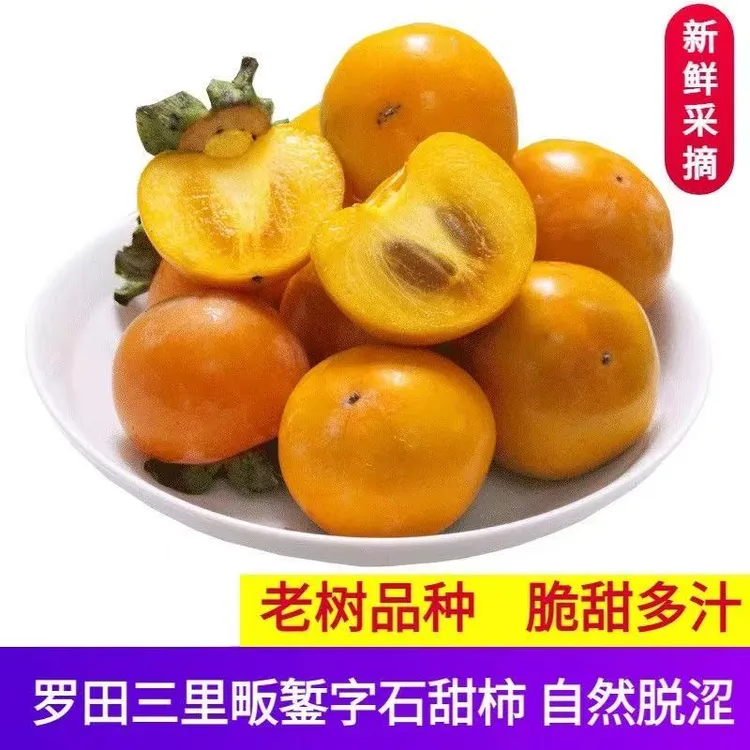 罗田新鲜糖心巧克力大果柿子应季现摘脆甜不涩口早秋新鲜水果脆柿
