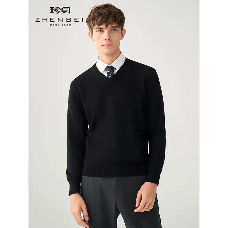 ZB/珍贝【可机洗纯羊绒衫】V领长袖针织衫男士休闲套头上衣31803