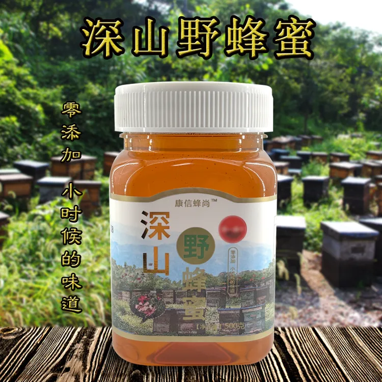 SP康信蜂尚 高品质 深山野蜂蜜500g/瓶