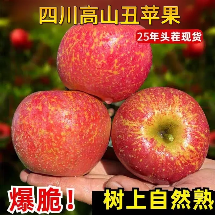 正宗四川大凉山丑苹果新鲜脆甜水果产地直发现摘孕妇红富士5/8斤