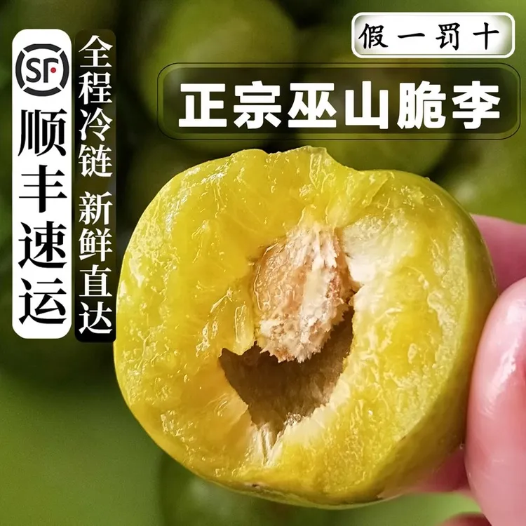 顺丰现发重庆巫山脆李正宗新鲜应季孕妇水果脱骨李子大果整箱直发