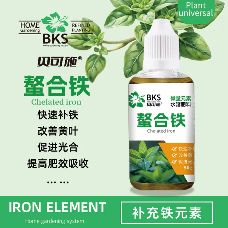 贝可施螯合铁快速补铁改善黄叶促进光合促吸收绿植花卉通用