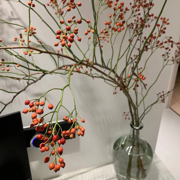 秋意山归来鲜切枝——禅意长枝天然真花水培植物家用超长花期鲜花