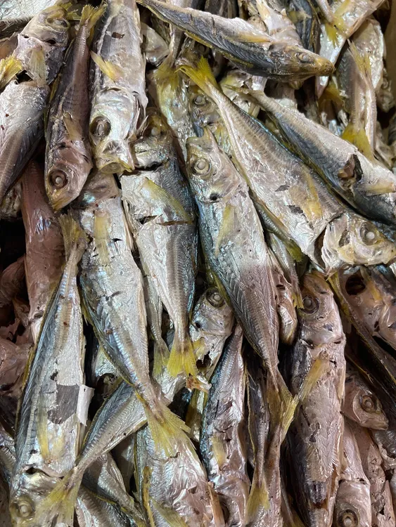 黄尾巴浪脯     广东 汕尾本港海产品