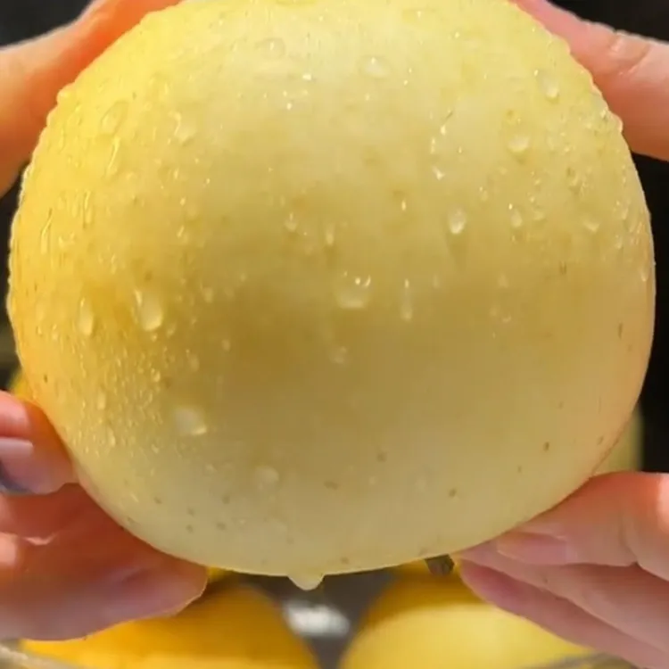 ［霜降后采摘］山东烟台奶油富士苹果脆甜多汁产地直发丑水果