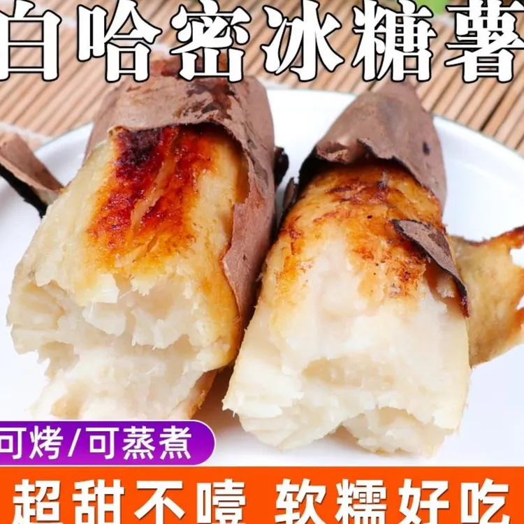 哈密冰糖心白心蜜薯新鲜现挖粉糯甘甜黄河生态产业园出品