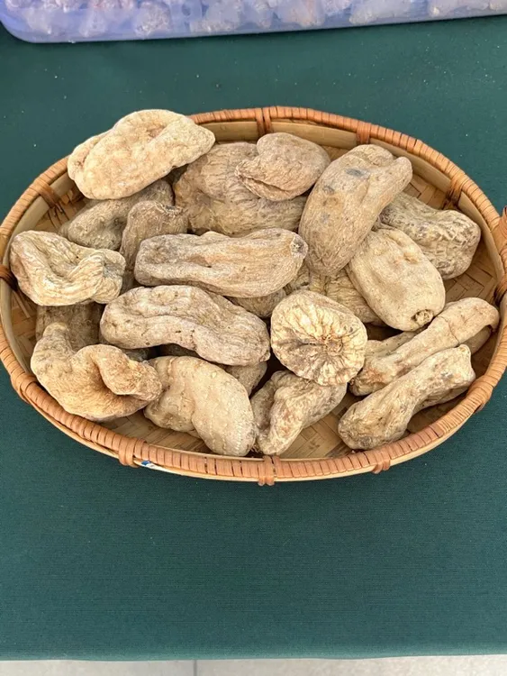 云南昭通小草坝天麻煲汤养生滋补干货