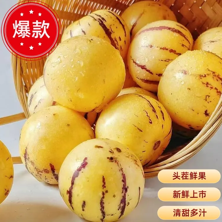 云南石林人参果新鲜多汁黄肉圆果树上自然成熟清甜好吃