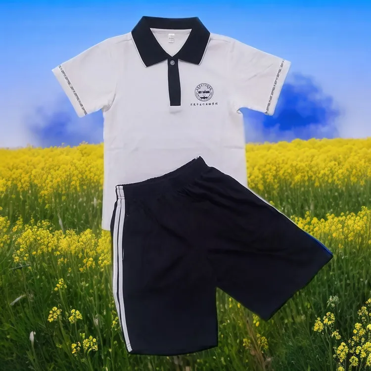 东莞市桥头石竹实验小学中学校服