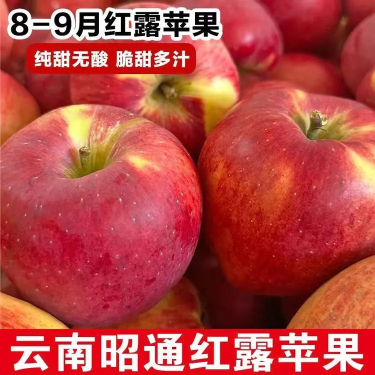25年云南昭通红露冰糖心丑苹果新鲜现摘脆甜当季水果果园直发包邮