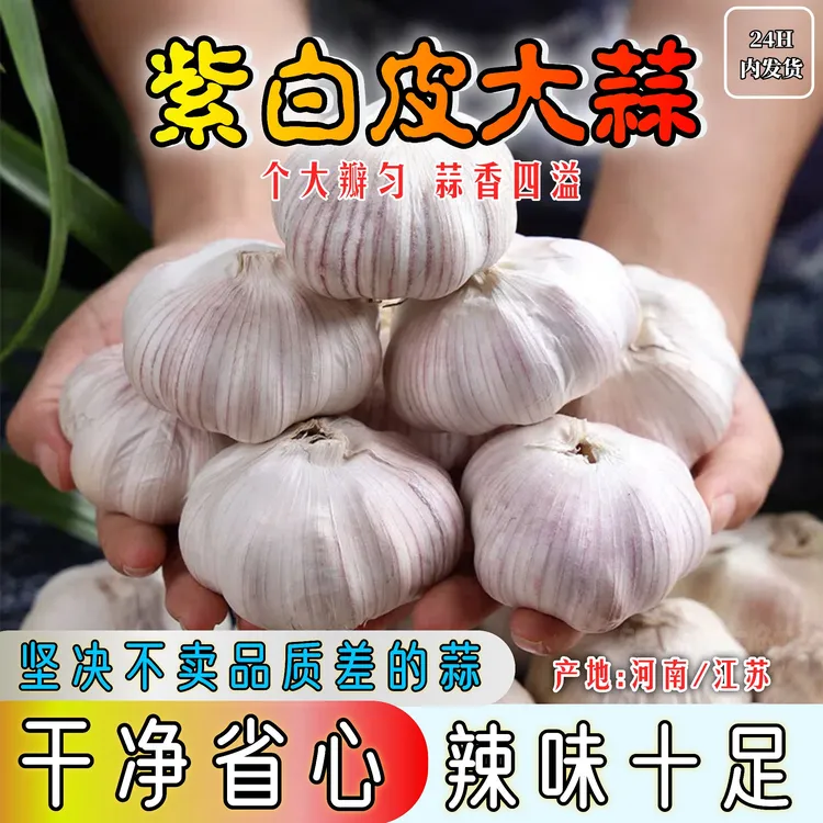 农家自种优质紫白皮大蒜干蒜大蒜头辛辣提香可吃可种新鲜晒干大蒜