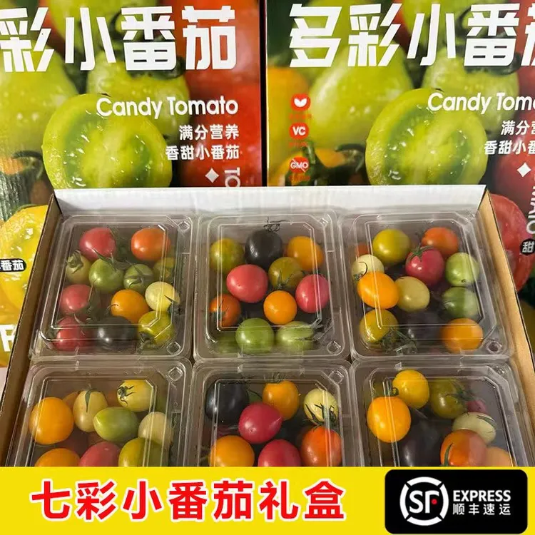 伊路鲜七彩番茄圣女果小番茄酸甜水果多汁现摘现发青甜2-4斤装