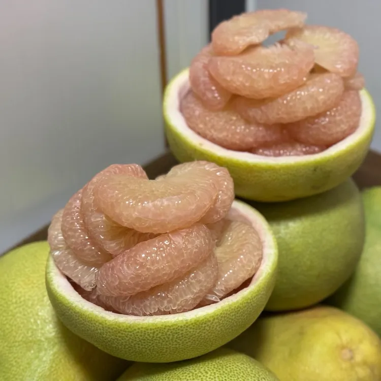 微瑕果福建度尾文旦柚白心蜜柚应季新鲜水果孕妇白肉柚批发