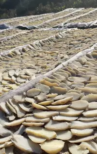 （红薯干)赣南红薯片红薯干地瓜干农家土特产