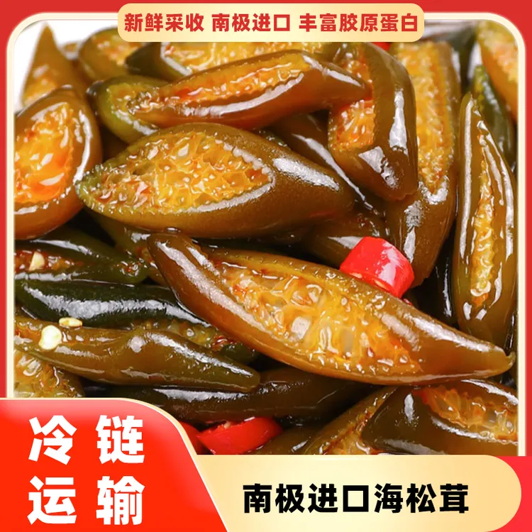南极海松茸原味海带新鲜海笋非即食海茸凉拌下酒菜冷链运输