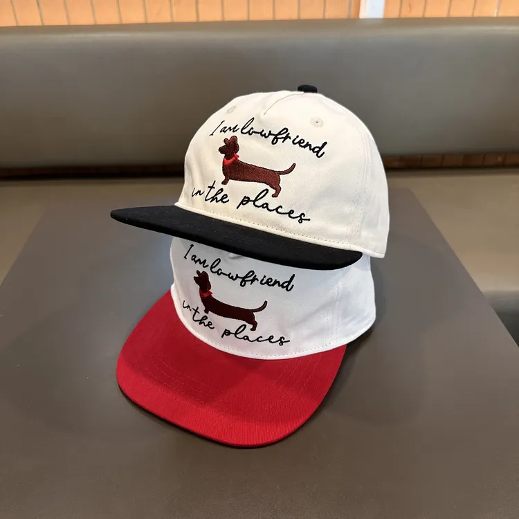 儿童帽子春秋薄款男童棒球帽女童小狗遮阳帽亲子款复古平檐鸭舌帽