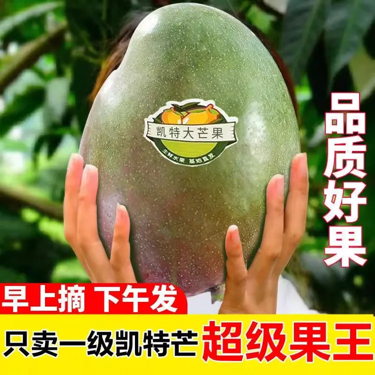 【 5斤攀枝花凯特芒果】香甜细腻多汁当季现摘现发新鲜发货整箱芒果