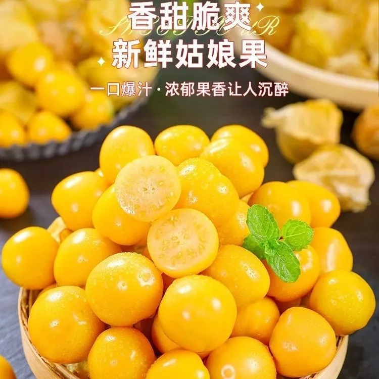 东北姑娘果新鲜采摘灯笼果一整箱包邮头茬当季水果