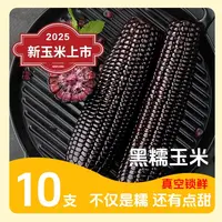 [25年头茬黑糯玉米支持试吃]棒小鲜黑龙江玉米10根整箱不低于6斤