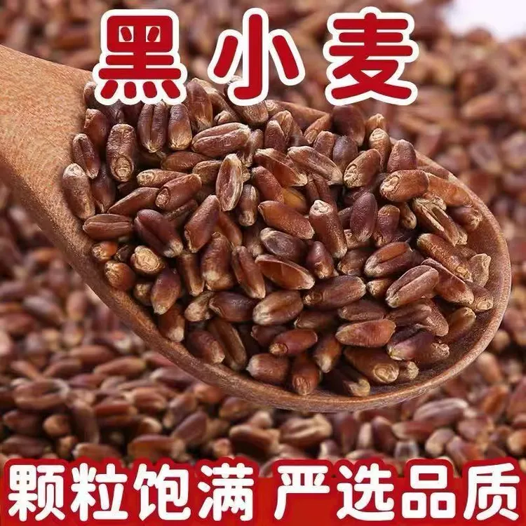 富硒农家黑小麦 可杂粮磨面，可种
