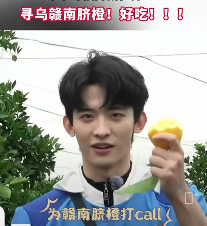 正宗赣南寻乌脐橙生态种植现摘现发自然成熟香甜浓汁多(精品小果)