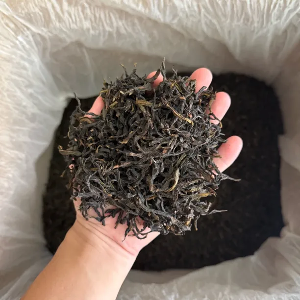 2025年二春乌叶 凤凰单枞茶 口粮茶 袋装/罐装250g