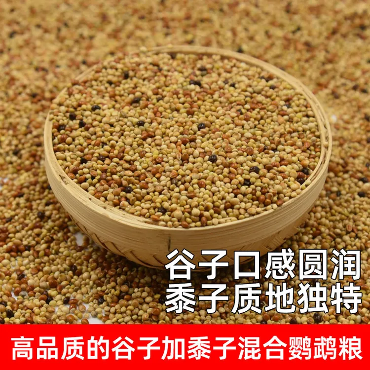 谷黍混合鸟粮五色黍子鹦鹉种类鹦鹉娇凤五色栗子玉鸟虎皮玄凤鸟粮
