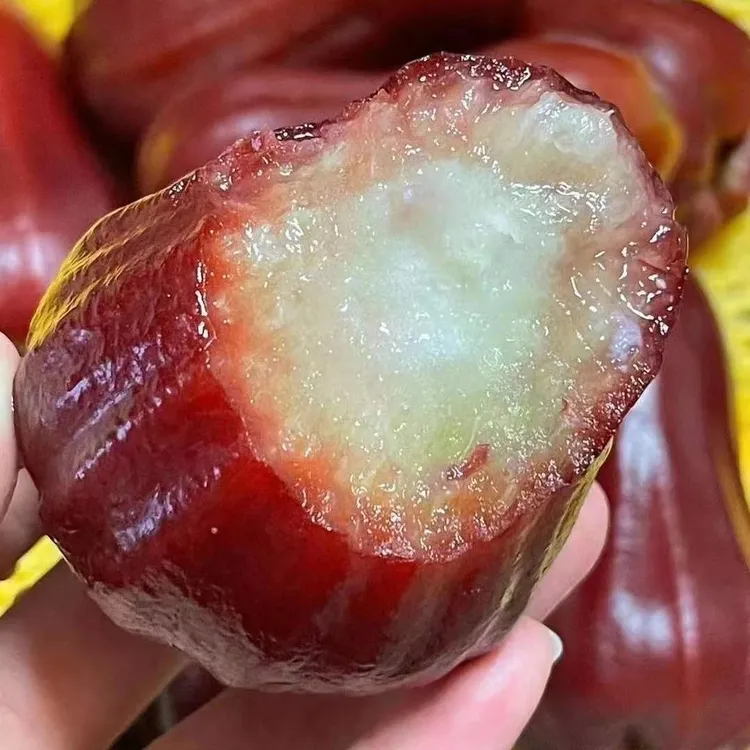 京东/顺丰海南黑金刚莲雾新鲜水果当季树上熟大果孕妇水果莲雾