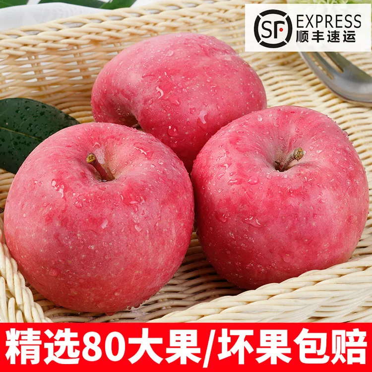 甘肃静宁红富士苹果精选大果脆甜多汁新鲜直达