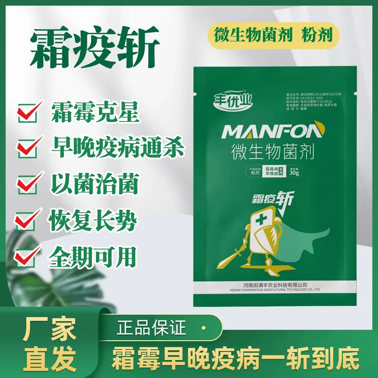 霜疫斩霜霉早晚疫病微生物菌剂一袋一壶水粉剂防治一体