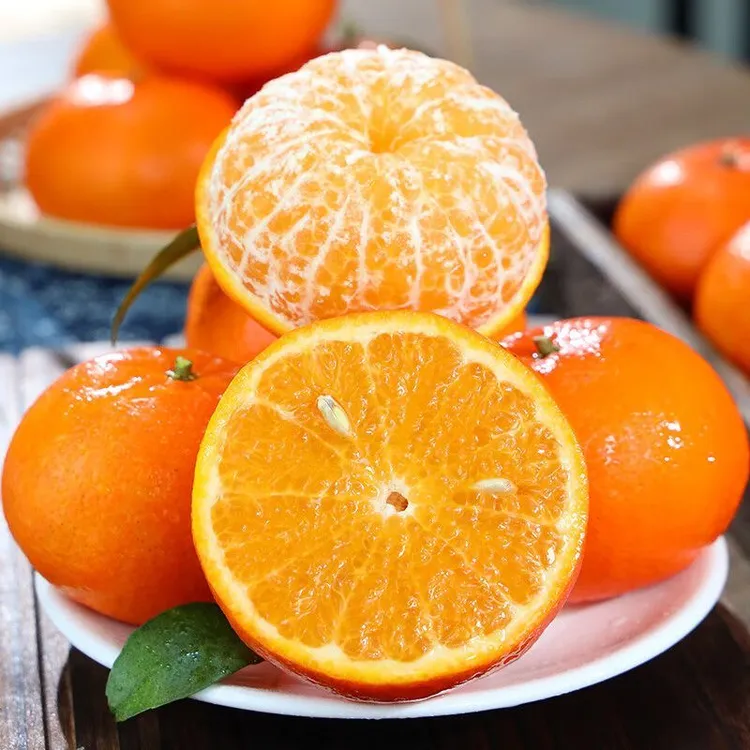 广西武鸣沃柑树上熟产地直发新鲜水果橘子