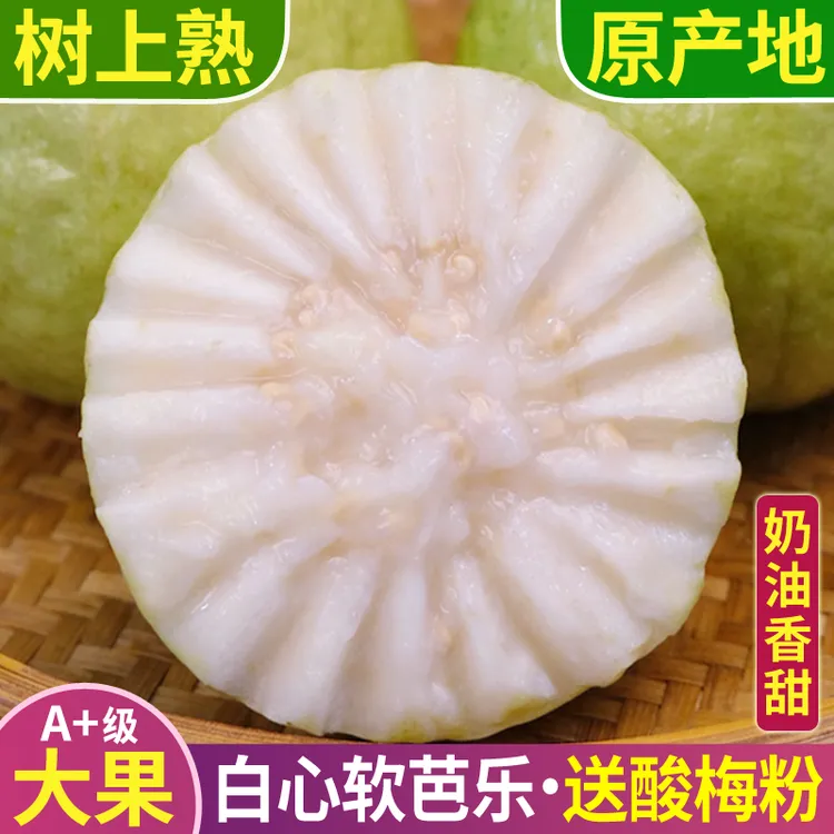 【奶油白心】正宗黄金软芭乐果新鲜应季芭乐水果软糯香甜广西番石榴