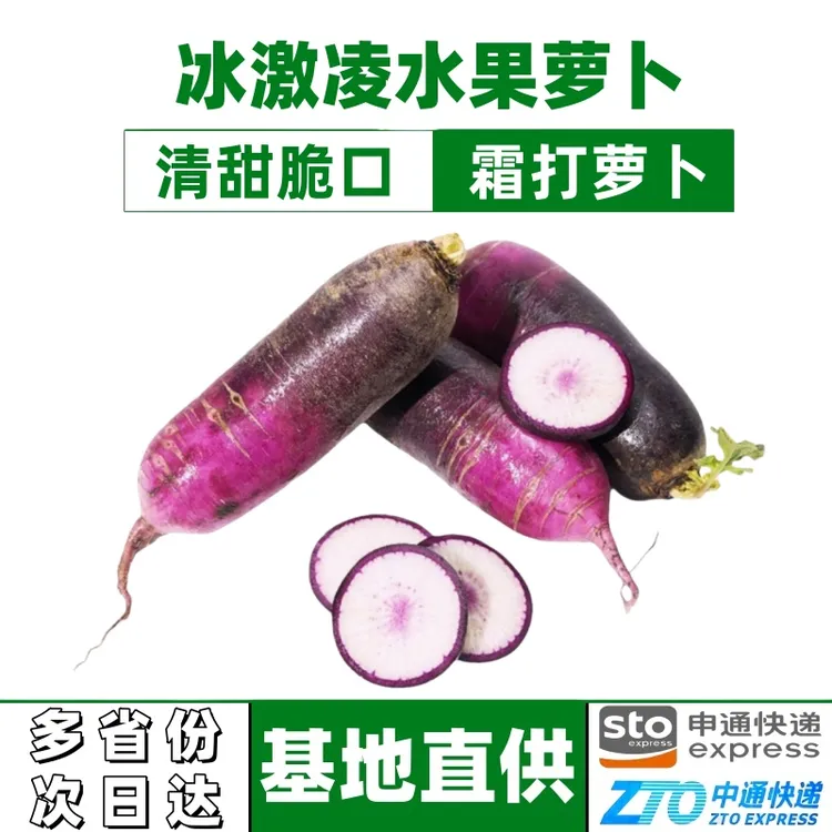 冰激凌水果萝卜净重3/5/9斤山东水果萝卜山东蔬菜冰淇淋水果萝卜