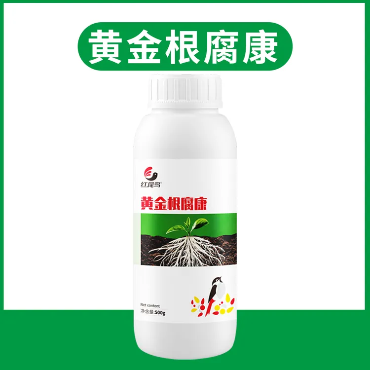 红尾鸟黄金根腐康农作物根系促根促生长