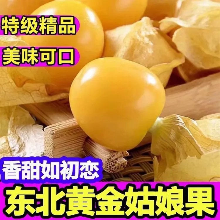 寻天果蔬【京东快递】东北特产菇娘果 水果奶香爆汁 姑娘果应季水果