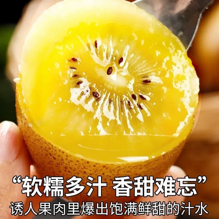 正宗四川黄心猕猴桃黄金奇异果孕妇应季新鲜水果当季头茬现摘现发