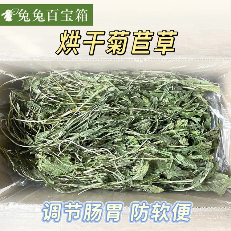 25年烘干菊苣草新草兔子干草辅草调理肠胃零食草