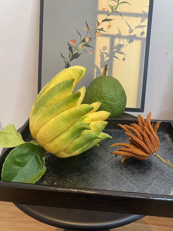 【彤花阁】佛手一物一拍、居家雅置闻香可观精品佛手柑