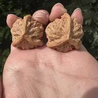 【中国涞水麻核桃协会】26 G56790-盘山三棱-多样性发其一-35mm左右