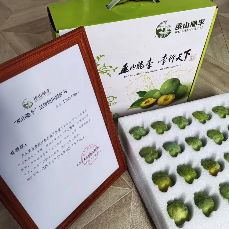 巫山脆李【官方正品】青皮黄心脱骨青脆李子自家果园现摘顺丰包邮 5