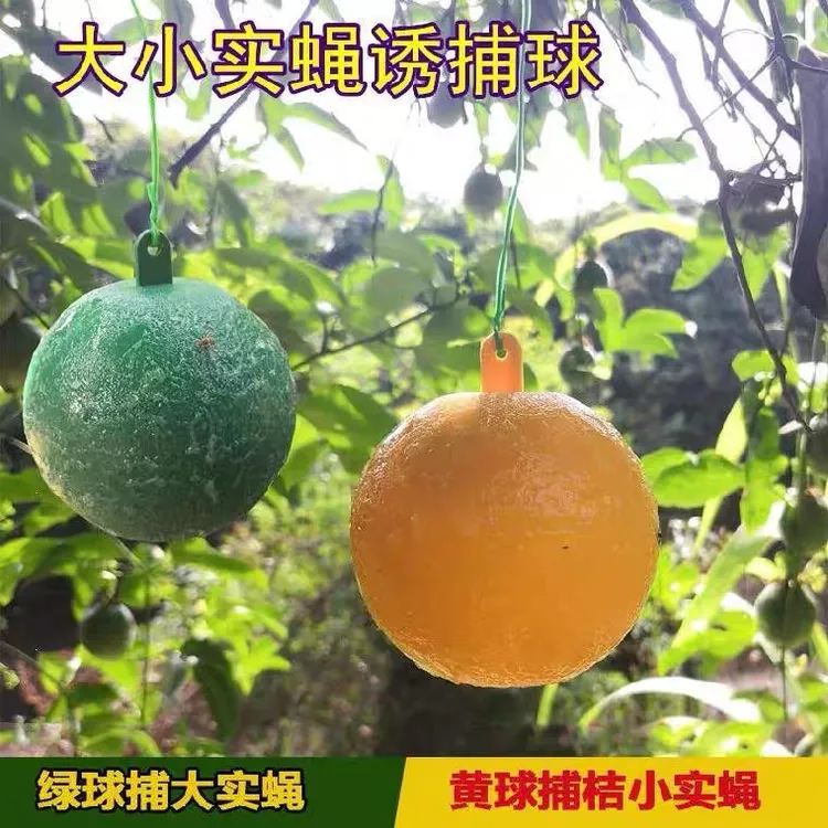 诱蝇球柑橘大实蝇粘虫球针锋药果蝇引诱剂瓜果实蝇诱粘剂诱捕神器