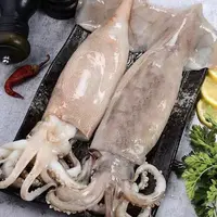 原浆鱿鱼（不泡水不泡药）4+1斤包邮 厚实 鱿鱼 海鲜 新鲜速冻紧实 