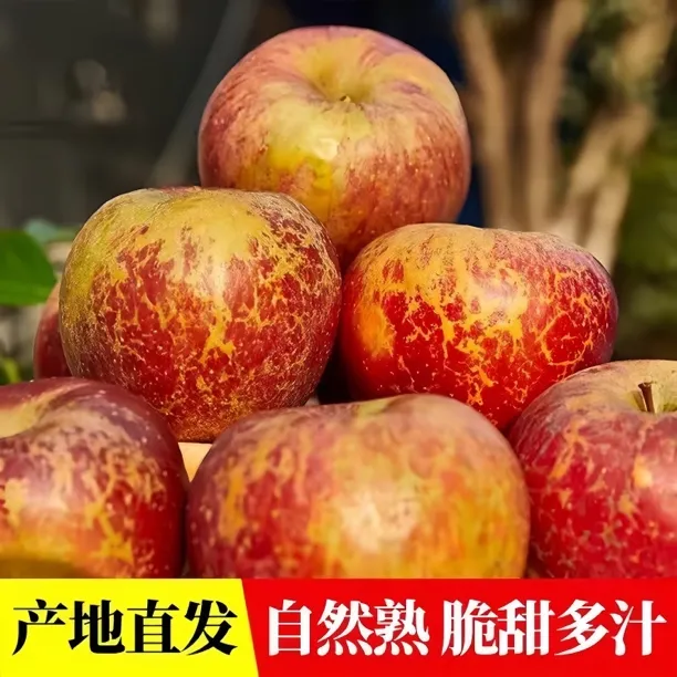正宗云南昭通冰糖心丑苹果自然新鲜采摘脆甜多汁5/10斤装产地包邮