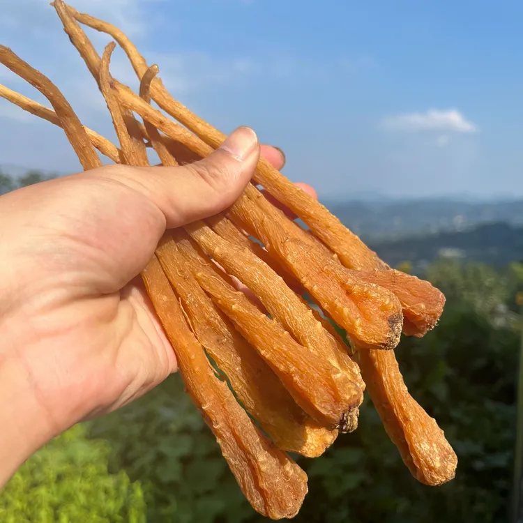 雪域三宝【藏雪参】【白虫草】【虫草参】林隐先生专属 可搭配枸杞