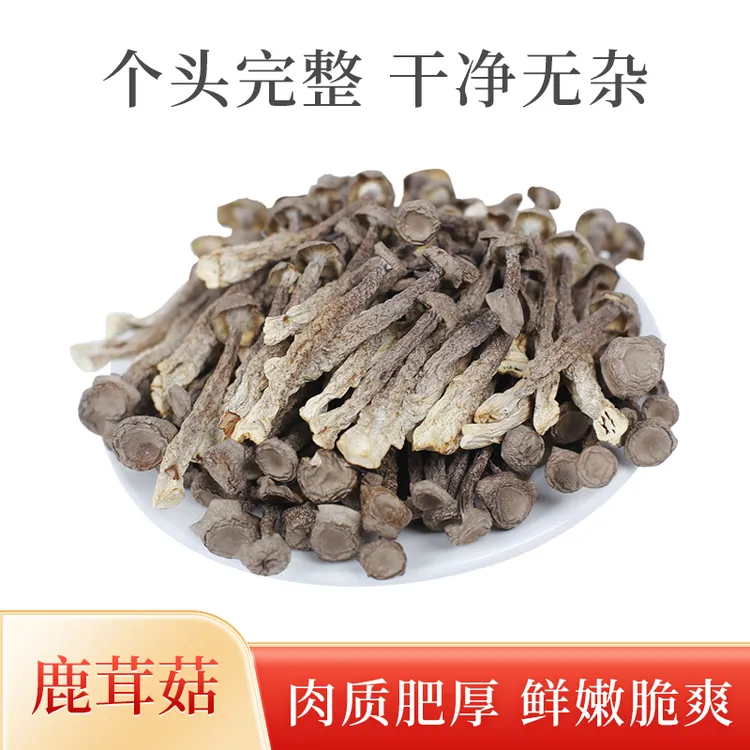 小鹿茸菇嫩仔菇干货高山鹿茸菇炒菜炖煲鸡汤鲜美营养美味鲜香脆嫩